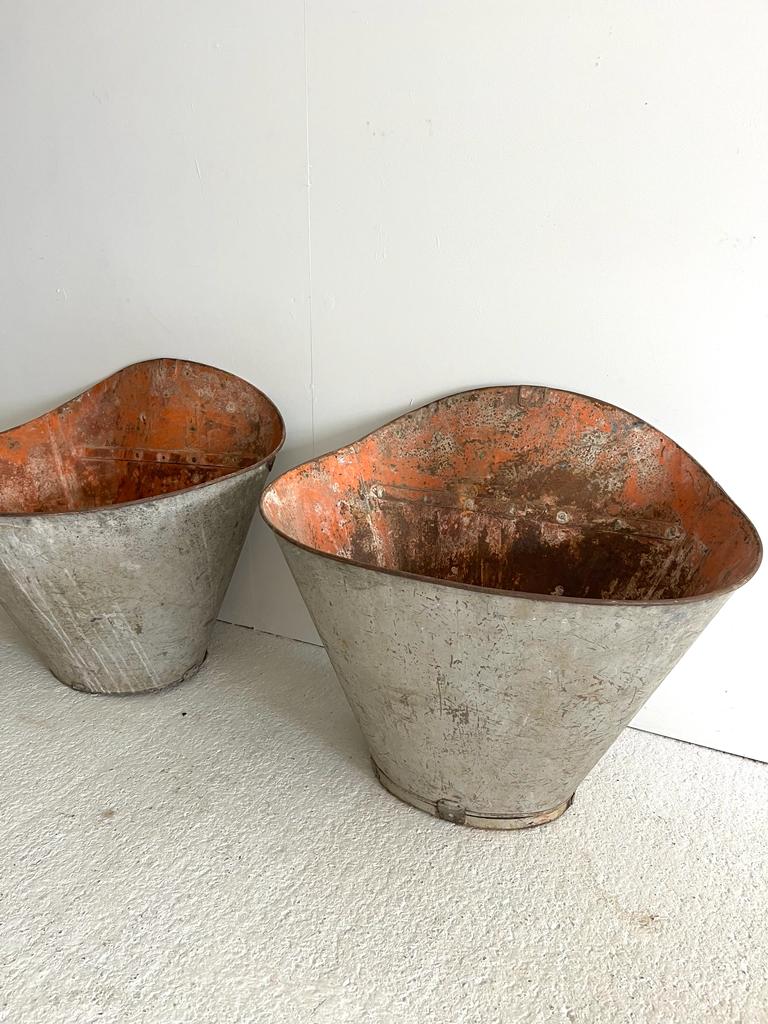 pair of large grape hoppers