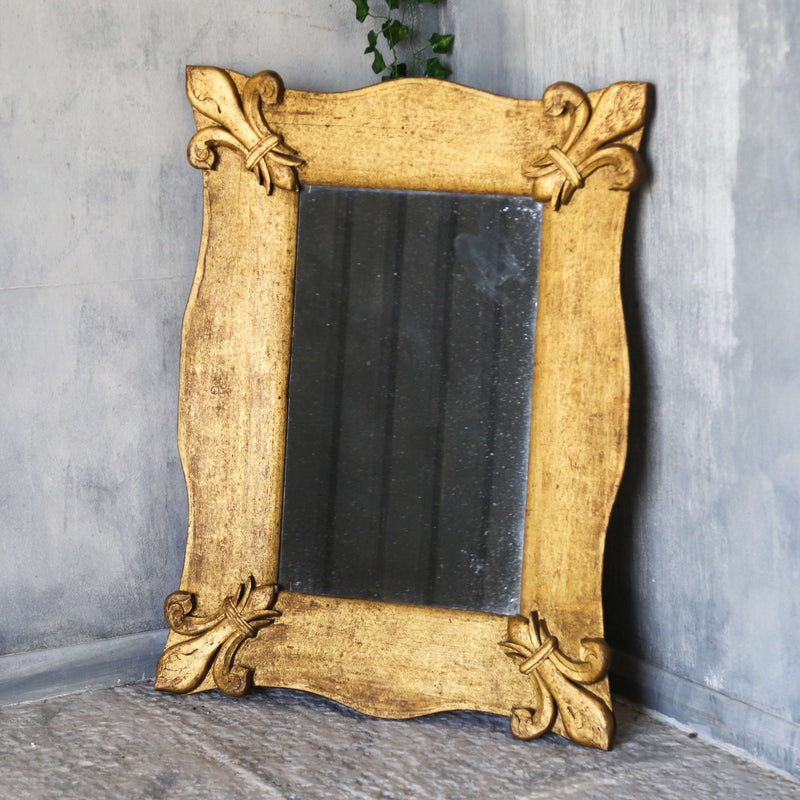 Élégant French serpentine giltwood mirror