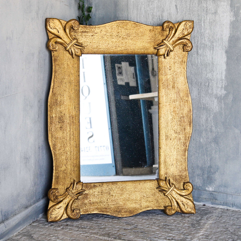 Élégant French serpentine giltwood mirror