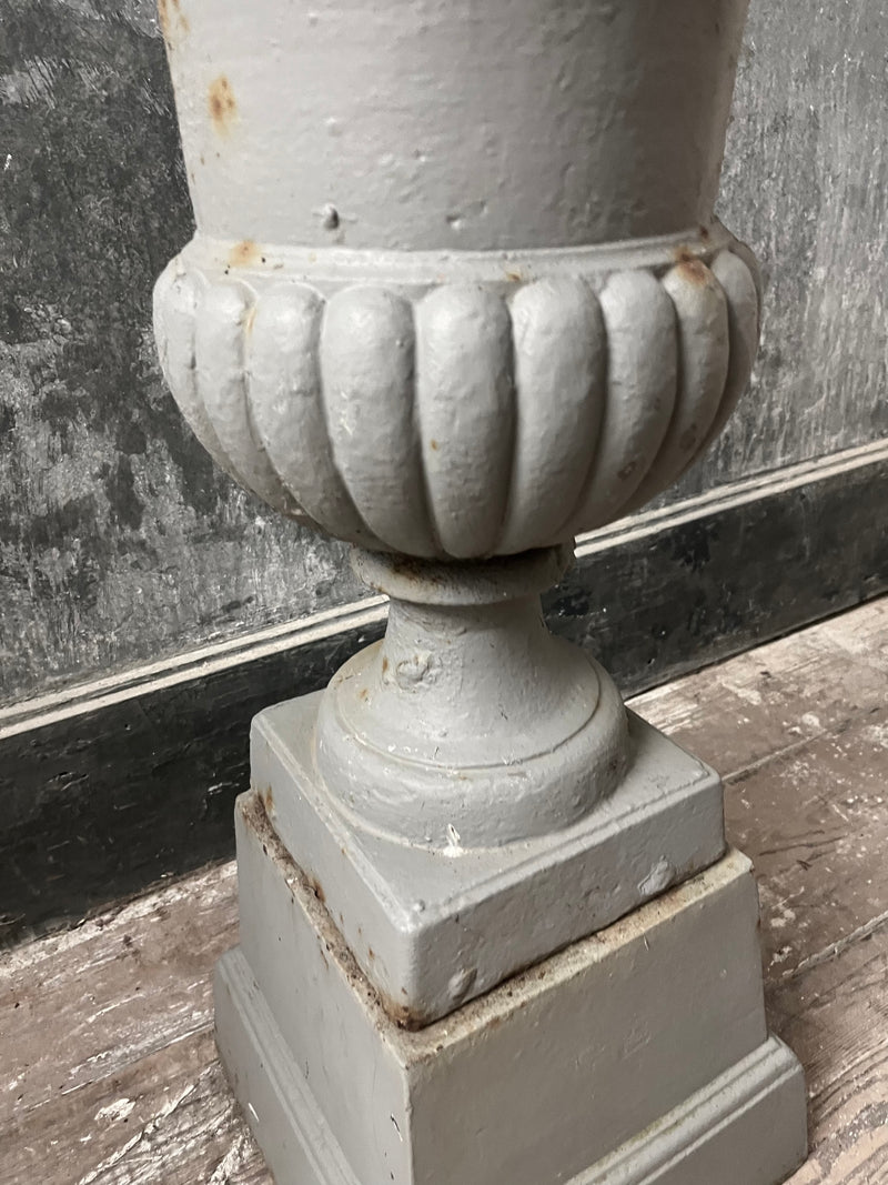 Pair of Grey urns