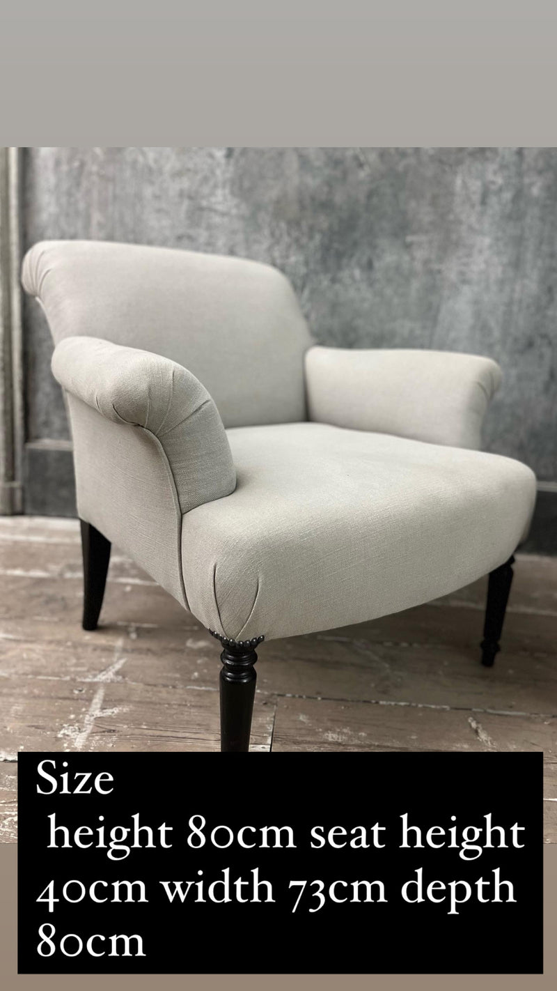 Pair of Napoleon 3rd style chairs