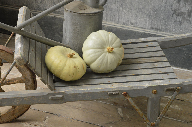 French 19th Century hay barrow