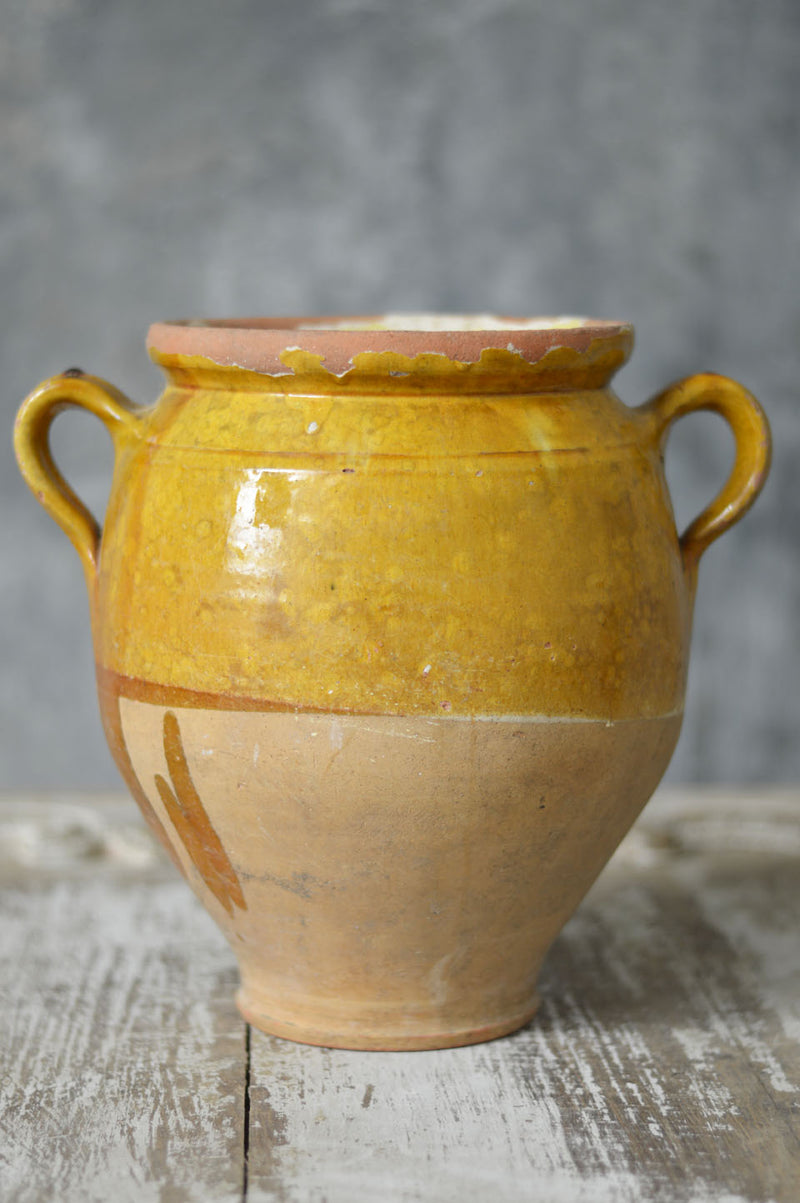 FRENCH 19TH CENTURY CONFIT POT