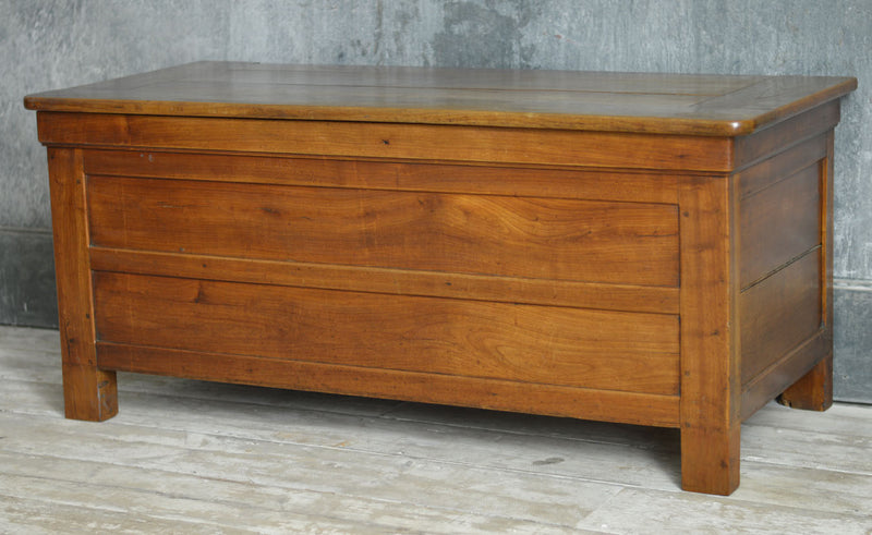 19TH CENTURY ELM COFFER