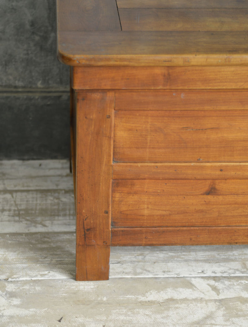 19TH CENTURY ELM COFFER