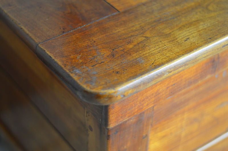 19TH CENTURY ELM COFFER