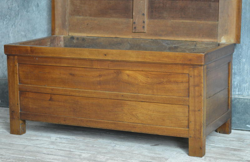 19TH CENTURY ELM COFFER