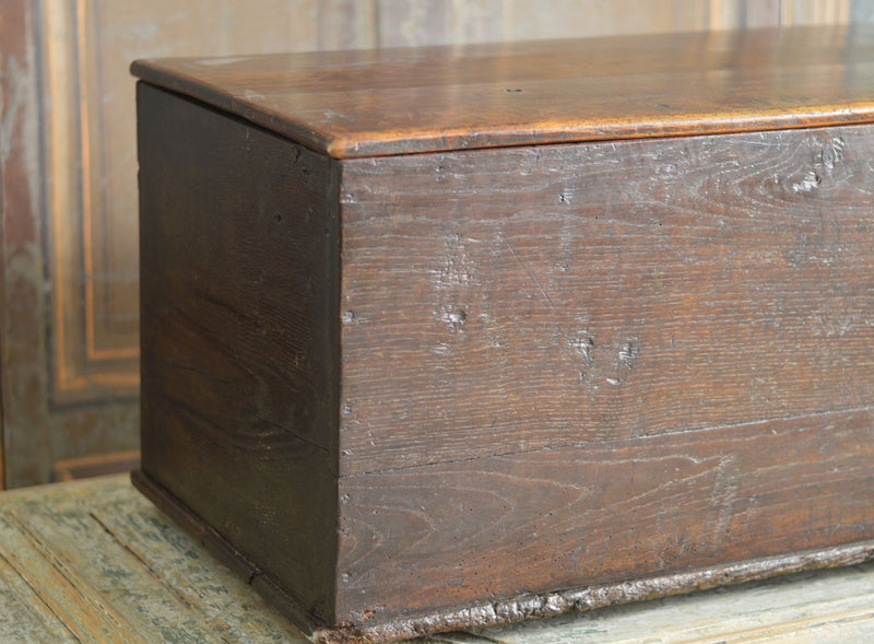 19TH CENTURY ENGLISH OAK TRUNK