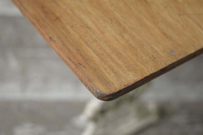 ENGLISH 19TH CENTURY CAST IRON TABLE